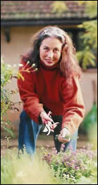 Pamela Sheldon Johns