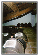 Balsamico