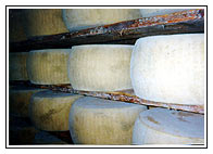 Cheese in the Racks
