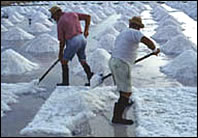Salt Mines of Trapani