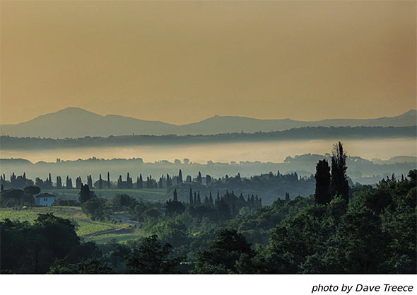 Photo of the Tuscan landscape by Dave Treece