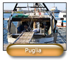 Puglia Workshops