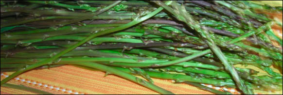 Asparagi
